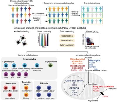 Immunometabolic features of natural killer cells are associated with infection outcomes in critical illness